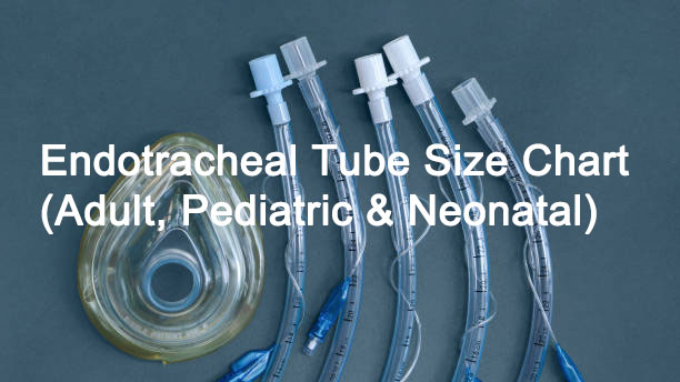 Endotracheal Tube Size Chart (Adult, Pediatric & Neonatal)