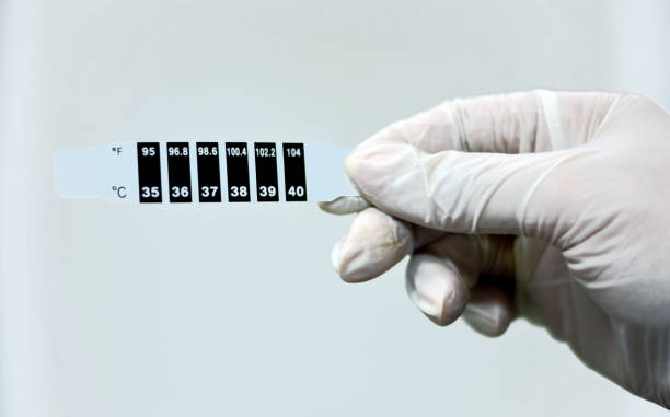 Bulk Pricing Guide for Disposable Thermometer Strips